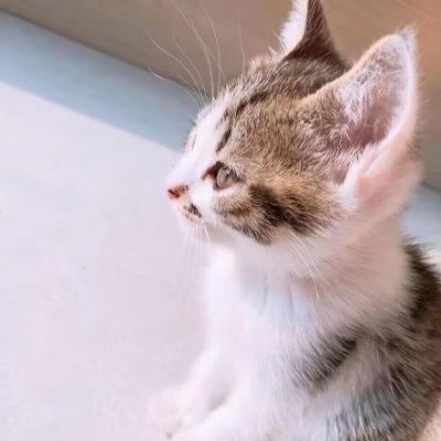 MelodyGagon2695's profile picture. ⚙️