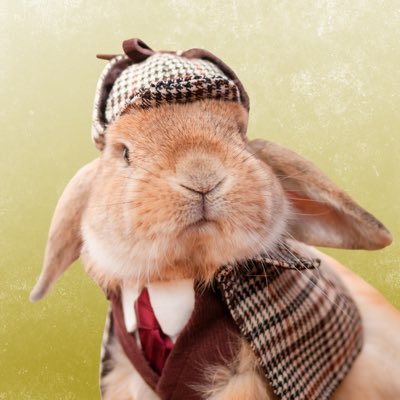 stylish bunny PuiPui 🐇 フォトグラファー、ビジネスマン、ホームズに王様まで👑いろんなぷいぷいをお届けします。服と帽子はすべて飼い主のハンドメイドです。PENTAX K-1