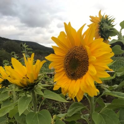 RJSpencer34's profile picture. 