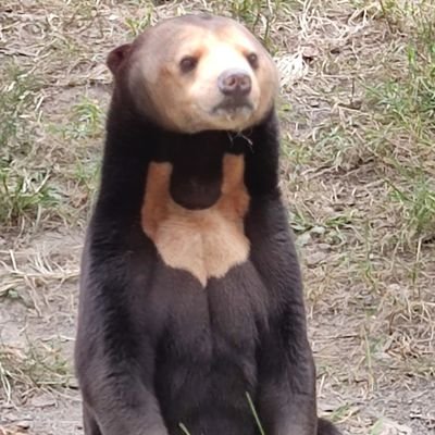 ImRobot47871481's profile picture. 