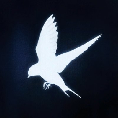 Arondaさんのプロフィール画像