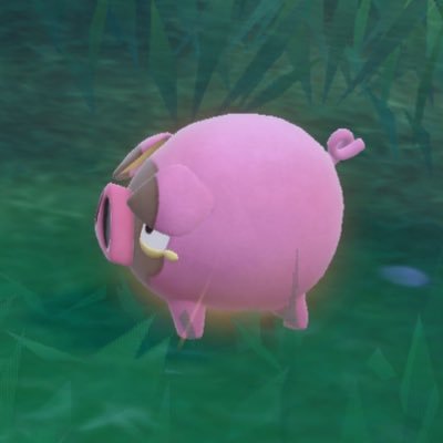 yokohama_blue7's profile picture. 横浜DeNA&ポケモンSV