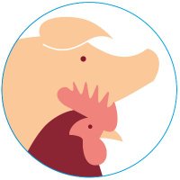 British Pig & Poultry Fair (@pigpoultry) 's Twitter Profile