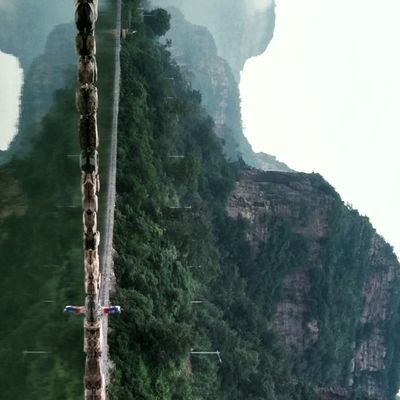 puti0528's profile picture. puti0528