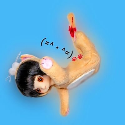 (=^・^=)🐾さんのプロフィール画像