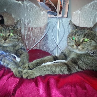 hs_asmae's profile picture. 