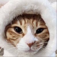 aims (@0801cart) 's Twitter Profile