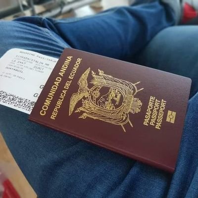 gatomiguel16's profile picture. 