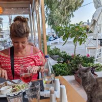 Annika Marlen 🐈⬛🐈🌻 (@annikamarlen79) 's Twitter Profile Photo Annika Marlen 🐈⬛🐈🌻 (@annikamarlen79) 's Twitter Profile Photo