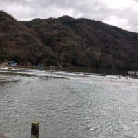 よよよよよ (@manyonezu100) Twitter profile photo