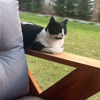 profesyonel masaj (@softcouple26) Twitter profile photo