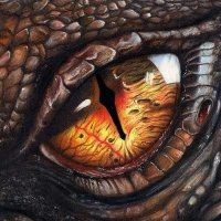 Dragon's Eye Charts(@Dragonseye) 's Twitter Profile Photo