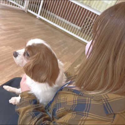 7_staya__'s profile picture. 