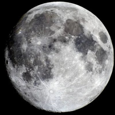 달땡(Moon 00)🌸🐈‍⬛