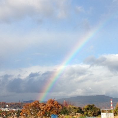 nBiib0tbQ1fx4vl's profile picture. よろしくお願いします。