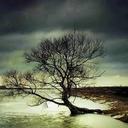 Heather Burnham - @HeatherBurnham - Twitter