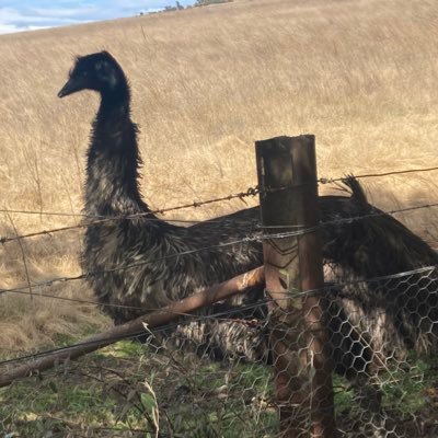 Jefry12198's profile picture. just one more atm tap i swear