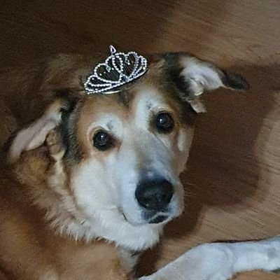 Gerard81910903's profile picture. xD