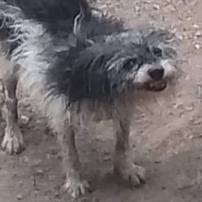 whodfok's profile picture. 