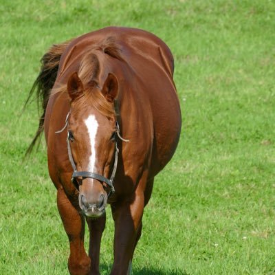 kasu_udon564's profile picture. 趣味用のアカウントです