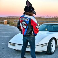 CORVID-19 (@attorneyatcaw) 's Twitter Profile Photo