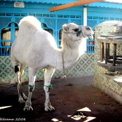 3_14_R's profile picture. Être Chandler Bing ou rien. #BringThemHome