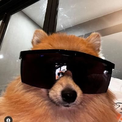 Tandilekhaile's profile picture. hayi yohh