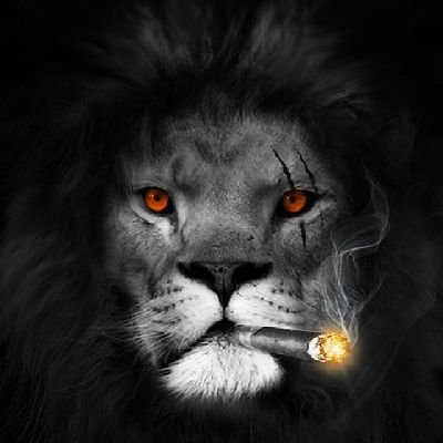 kerryh's profile picture. Cybersecurity and Cigars