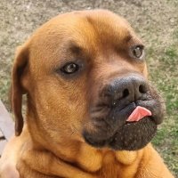 Jan Supa (@jansupa5) 's Twitter Profile