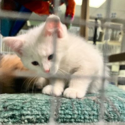 ClarissaMegan1's profile picture. 