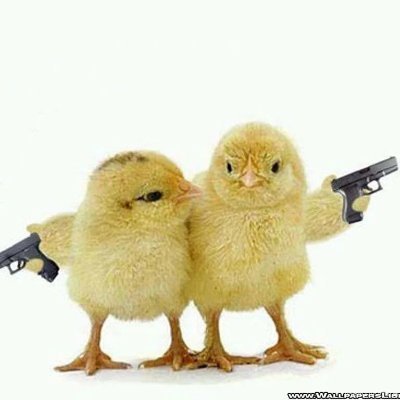 luna_misho's profile picture. hoi