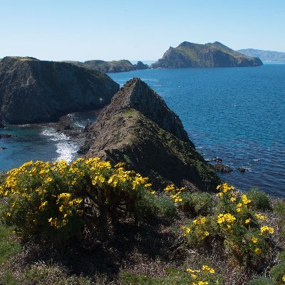 We’re a 501(c)(3) non-profit contractor that works to restore habitat on the Channel Islands and adjacent mainland.