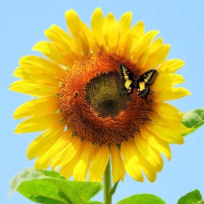 EveFishell's profile picture. Works at Chesapeake Pro Photo shooting real estate & drone to pay the bills; other just for fun. Jet-ski-er, mom. Original tweets are my copyrighted photos.