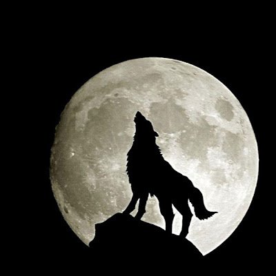 kyjlammm's profile picture. Aaa