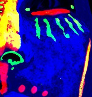 thrnbrr's profile picture. Most People Call Me Jeremy