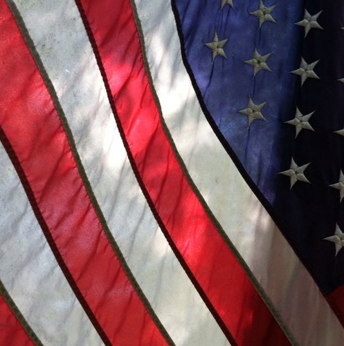 Hippechick55's profile picture. 