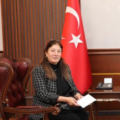 altindiselma's profile picture. I am dentist working on Healthcare Management.