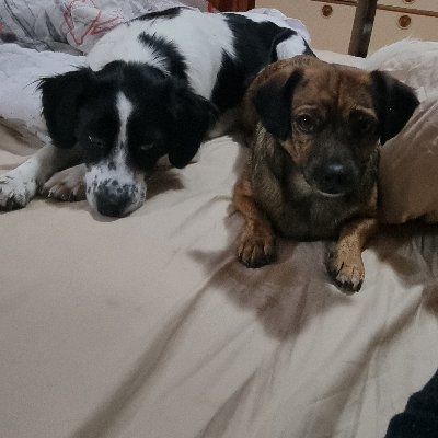 CosacRacz's profile picture. a fellow who loves STEM.