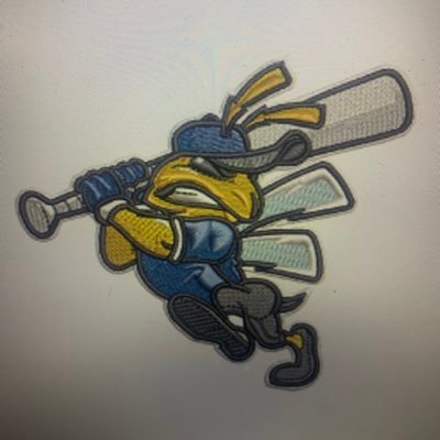 The Official Twitter of Kearsley Hornets Baseball • 2009 Flint Metro League Champions