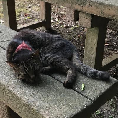 みつさんのプロフィール画像