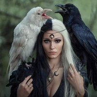 inversealterego (@crypto000101) 's Twitter Profile