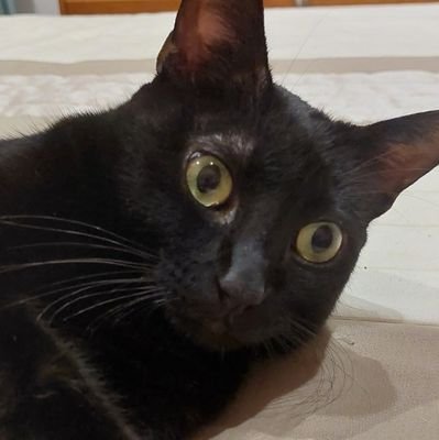 Cristin89156930's profile picture. 