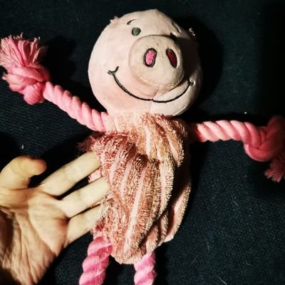 alexoconnor's profile picture. Data Scientist. Insights through data.