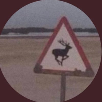 Vol_v00's profile picture. إبنة أعظم رجُل ترك الدُنيا .