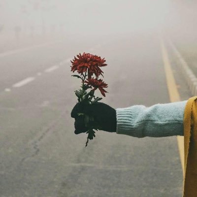 mahumjamil25's profile picture. All powers belongs to Allah Alone | Quantum Computing Enthusiast | Never settled for less | Imran Khan 🇵🇰