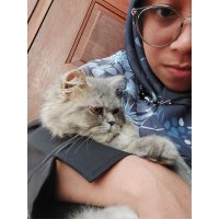 eba (@suaibaaslamiah) 's Twitter Profile