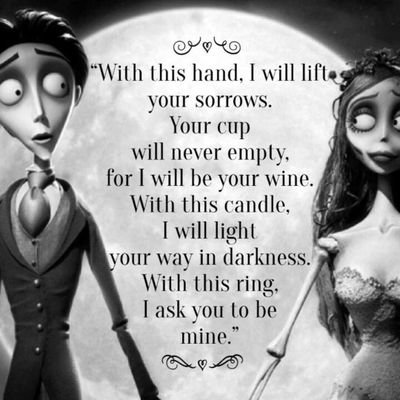 ❤ Raider Nation 🖤  Libra ☀ Gemini 🌑 Libra ⬆