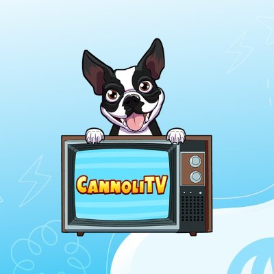 Cannoli decided no dog should have separation anxiety Thus CannoliTV was born! A free online show based on science to help dogs around the world!
#bostonterrier