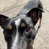 Miranda and The Beat (@thebeathive666) 's Twitter Profile