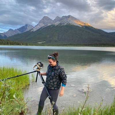 mjwilliams442's profile picture. 